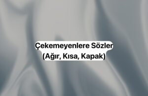 Çekemeyenlere Sözler